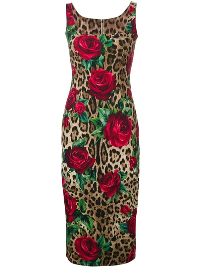 Shop Dolce & Gabbana Printed Midi Dress - Brown