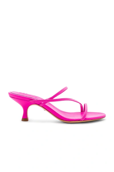 Shop Schutz Evenise Sandal In Neon Pink
