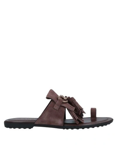 Shop Tod's Toe Strap Sandals In Dark Brown