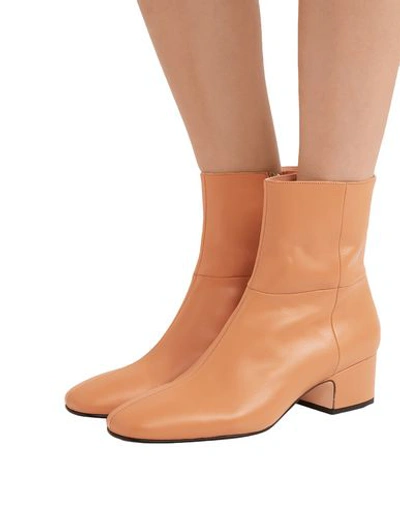 Shop Joseph Ankle Boot In Camel