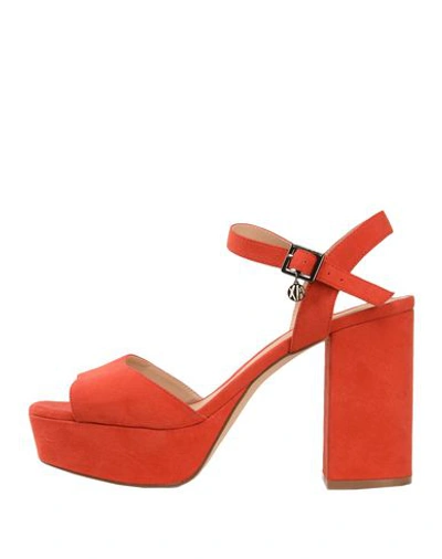 Armani Exchange Sandals In Red | ModeSens