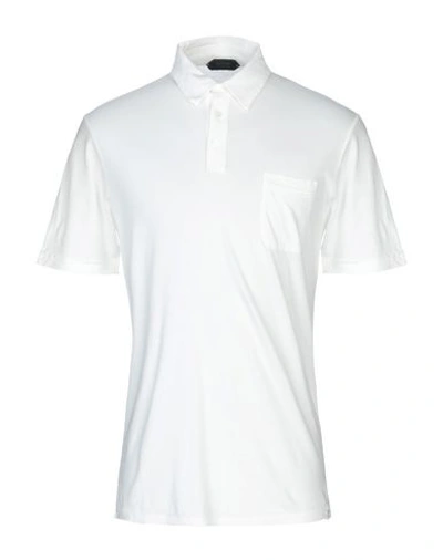 Shop Zanone Polo Shirts In White