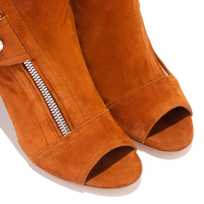 Shop Casadei Selena In Russet