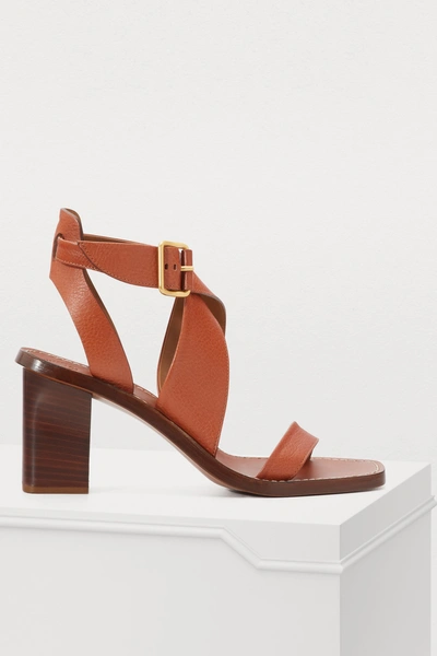 Shop Chloé Virginia Sandals In Chestnut Brown