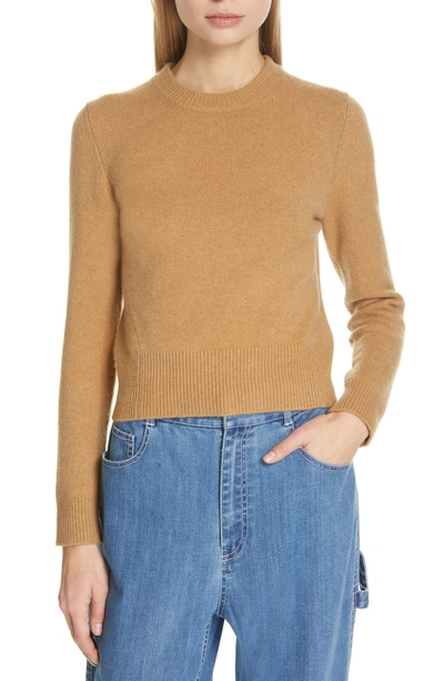 Shop Tibi Stretch Cashmere Sweater In Caramel