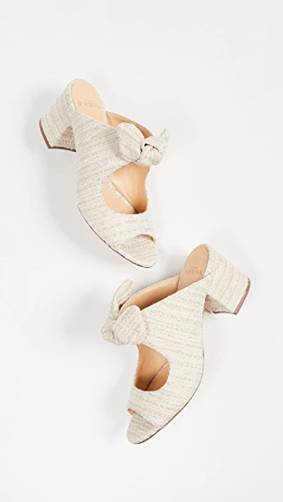 Shop Alexandre Birman Open Evelyn 60mm Mules In Light Sand