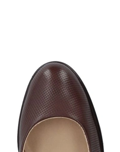 Shop Manas Pumps In Dark Brown