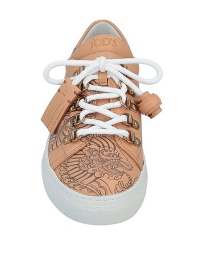 Tod's Sneakers In Pink