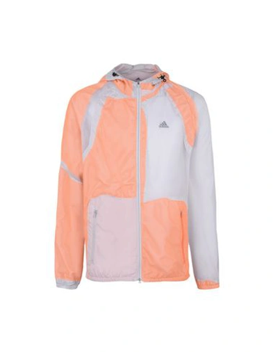 Shop Adidas By Kolor Jacket In Light Grey