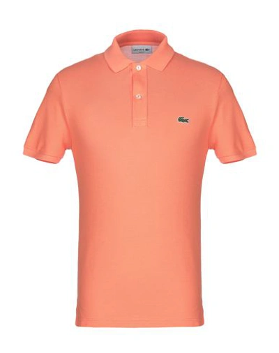 Shop Lacoste Polo Shirts In Salmon Pink