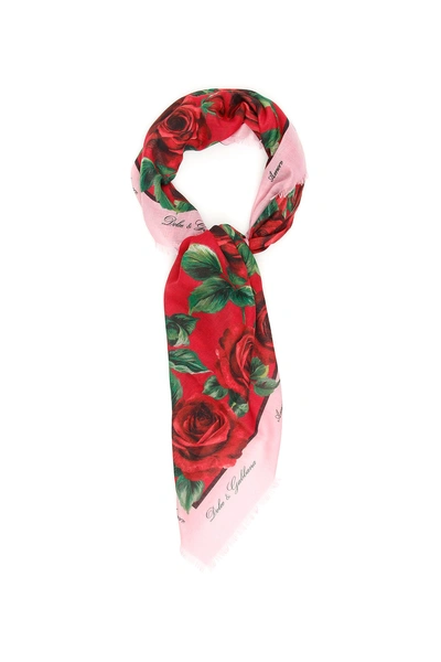 Shop Dolce & Gabbana Maxi Roses Scarf In Rose Rosse Fdo Rosso (black)
