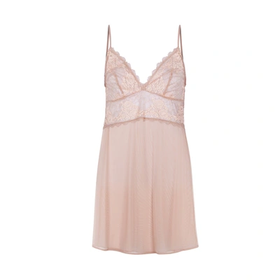 Shop Wacoal Lace Perfection Blush Chemise In Rose