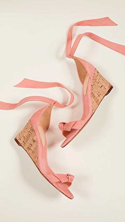 Shop Alexandre Birman Clarita Demi 75mm Wedge Sandals In Papaya/natural