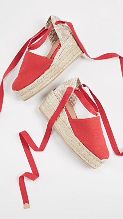 Shop Castaã±er Campesina Wedge Espadrilles In Rubi