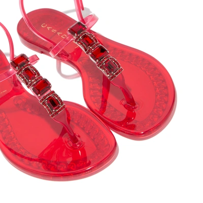 Shop Casadei Jelly In Energy Red