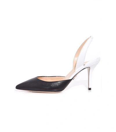 Shop Paul Andrew Aw Slingback Pump In Black/white
