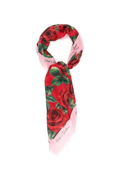 Shop Dolce & Gabbana Maxi Roses Scarf In Multi