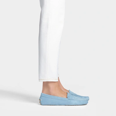 Shop Tod's | Gommino Suede Maschirina Loafers In Light Blue Leather