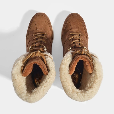 Shop Michael Michael Kors | Scout Sneakers In Brown Calfskin