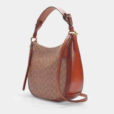 Shop Coach Coated Canvas Signature Sutton Hobo Bag In Brown Canvas