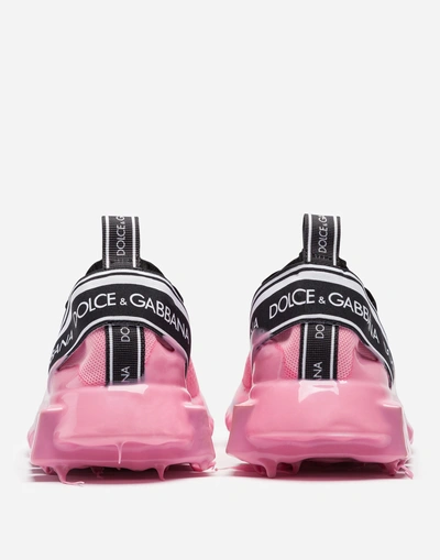 Shop Dolce & Gabbana Sorrento Melt Sneakers In Mesh In Pink