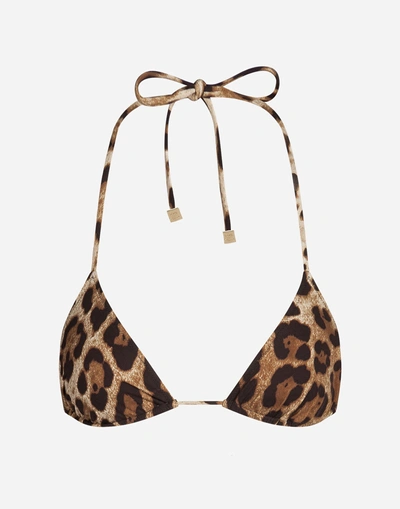 Shop Dolce & Gabbana Triangle Bikini Top With Leo Print In Leopard Print