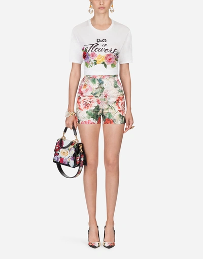 Shop Dolce & Gabbana Shorts In Printed Brocade In Floral Print