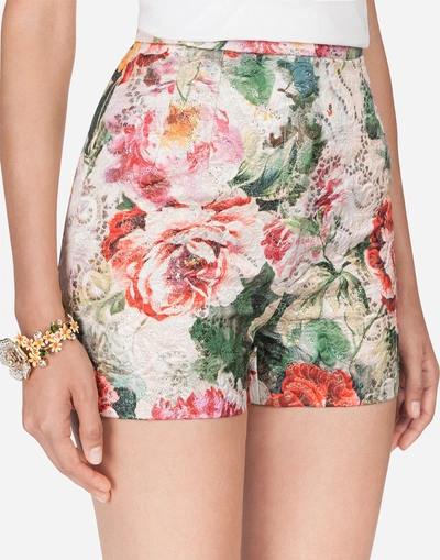 Shop Dolce & Gabbana Shorts In Printed Brocade In Floral Print