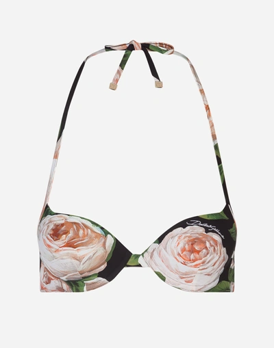 Shop Dolce & Gabbana Push-up Bikini Top With Rose Print In Floral Print