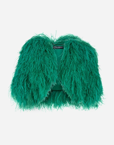 Shop Dolce & Gabbana Fur Bolero