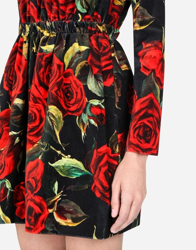 Shop Dolce & Gabbana Printed Velvet Dress In Floral Print