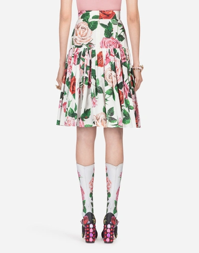 Shop Dolce & Gabbana Printed Cotton Skirt In Floral Print