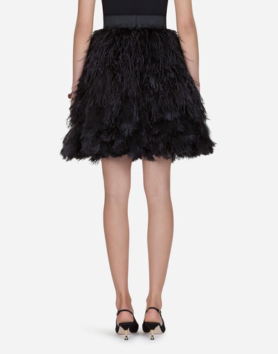 Shop Dolce & Gabbana Flounce Skirt In Feathers