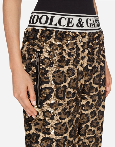 Shop Dolce & Gabbana Sequined Jogging Pants In Leopard Print
