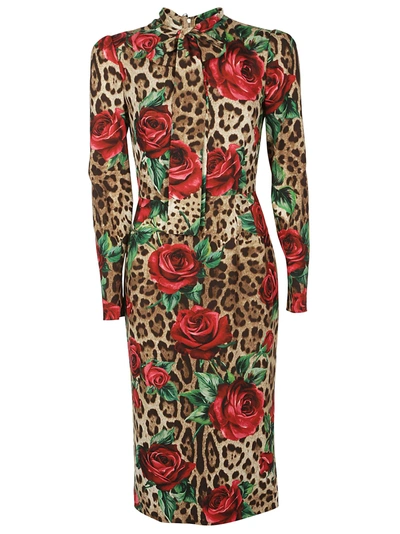 Shop Dolce & Gabbana Dolce E Gabbana Dress In Rose Rosse Fdo Leo