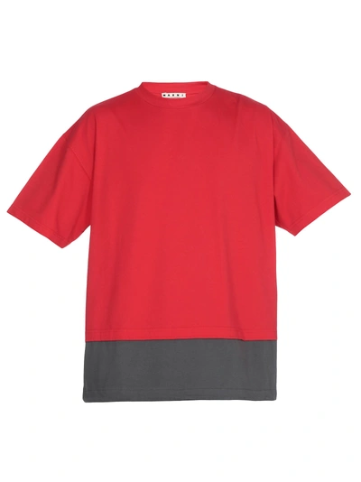 Shop Marni Cotton T Shirt In Red