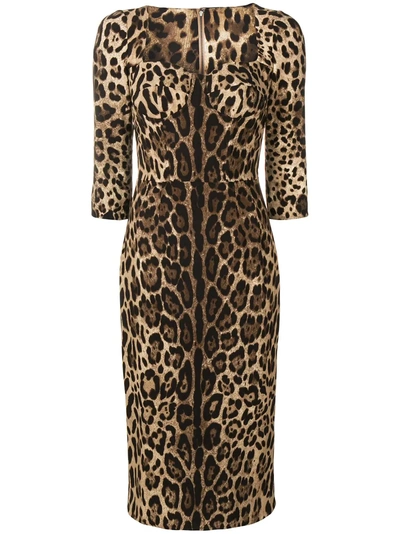Shop Dolce & Gabbana Leopard Print Dress - Brown