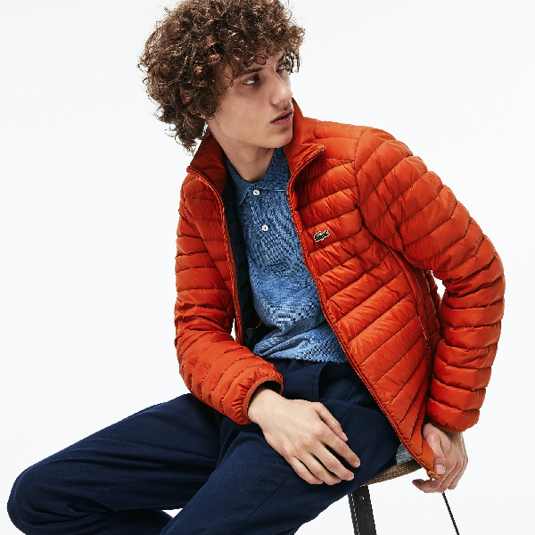 lacoste mens quilted jacket