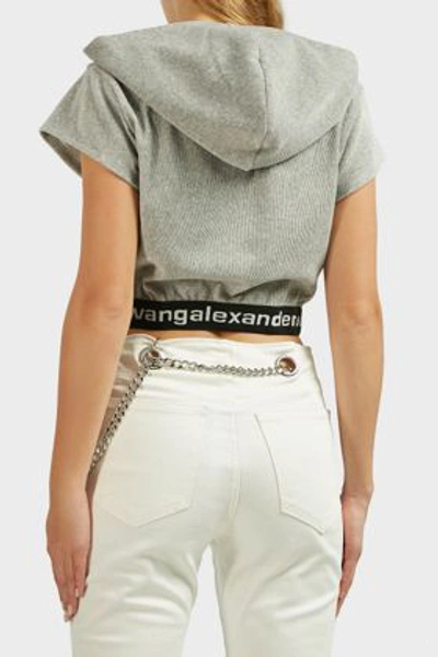 Shop Alexander Wang T Cropped Cotton-blend Hoodie In Grey