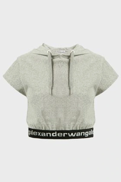 Shop Alexander Wang T Cropped Cotton-blend Hoodie In Grey