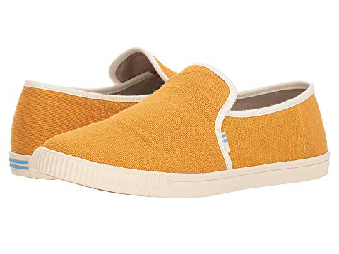 toms clemente sunflower