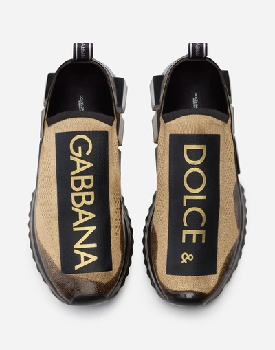Shop Dolce & Gabbana Sorrento Melt Sneakers In Stetch Mesh With Logo In Gold