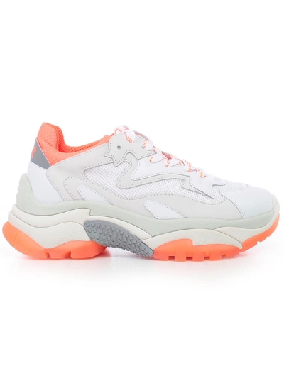 Shop Ash Mesh Panel Sneakers In White Fluo Orange
