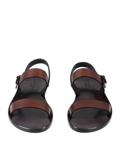 Shop Saint Laurent Sandals In Dark Brown