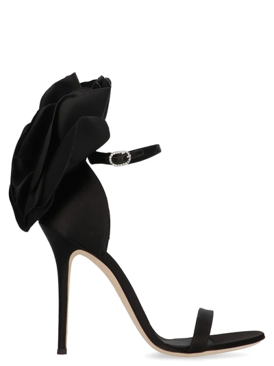 Shop Giuseppe Zanotti Shoes In Black