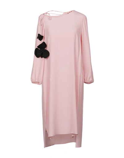 Shop Marni Knee-length Dress In Pink