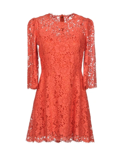 Shop Dolce & Gabbana Short Dresses In Coral