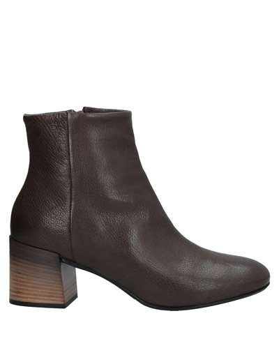 Shop Alberto Fermani Ankle Boots In Dark Brown