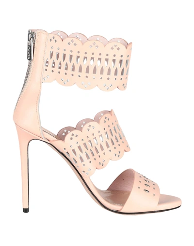 Shop Pinko Sandals In Pink