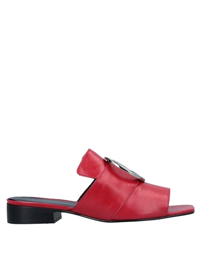 Shop Dorateymur Sandals In Red